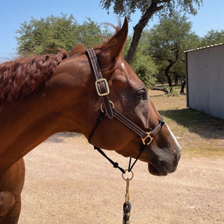 Hybrid Headcollar® Leather