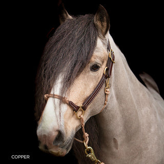 Hybrid Headcollar® Leather