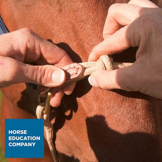 Halter Sizing/Fitting & Exchange