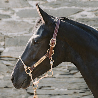 Leather Lariat Hybrid Headcollar