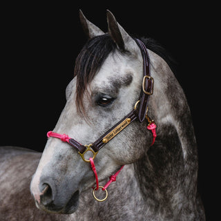 Hybrid Headcollar® Leather