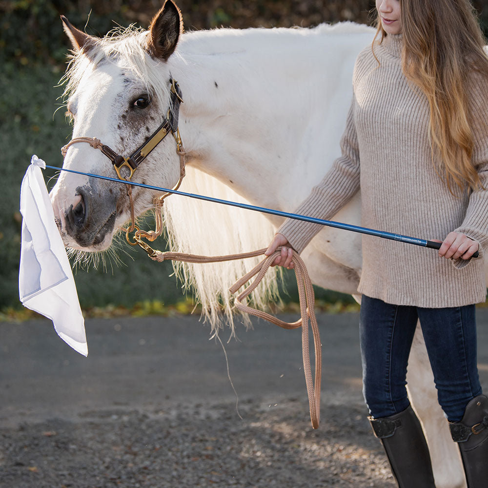 Horse Halters - Nylon or Leather Halters with Rope – The Horse ...