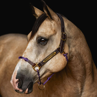 Hybrid Headcollar® Leather