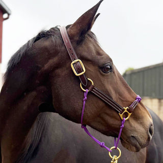Hybrid Headcollar® Leather