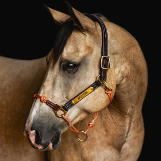 Hybrid Headcollar® Leather