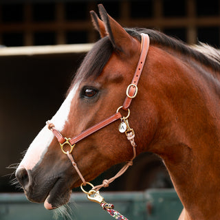 Slim Hybrid Halter