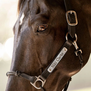 Engraved Headcollar Nameplates